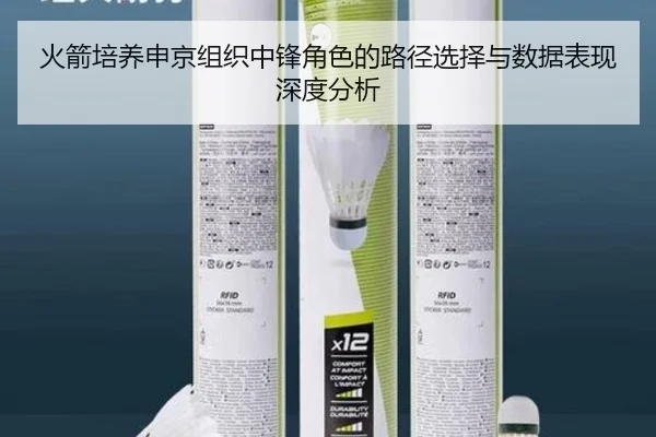 火箭培养申京组织中锋角色的路径选择与数据表现深度分析