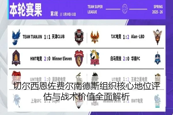 切尔西恩佐费尔南德斯组织核心地位评估与战术价值全面解析